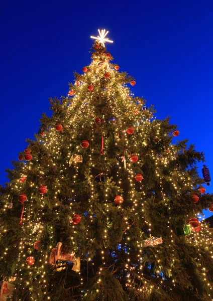 Albero di Natale — Foto Stock