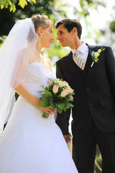 Young wedding couple preparing kissing — Stock Photo, Image