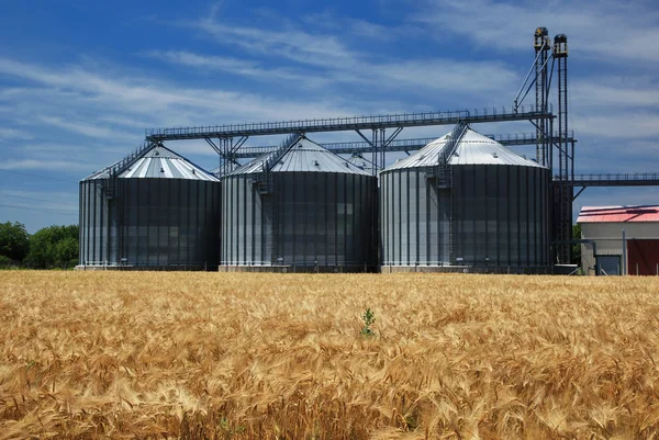 Grain silos — Stock Photo, Image