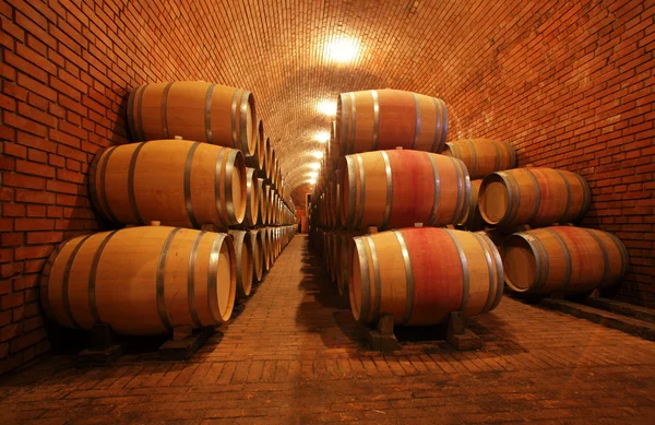 Weinfässer im Keller — Stockfoto