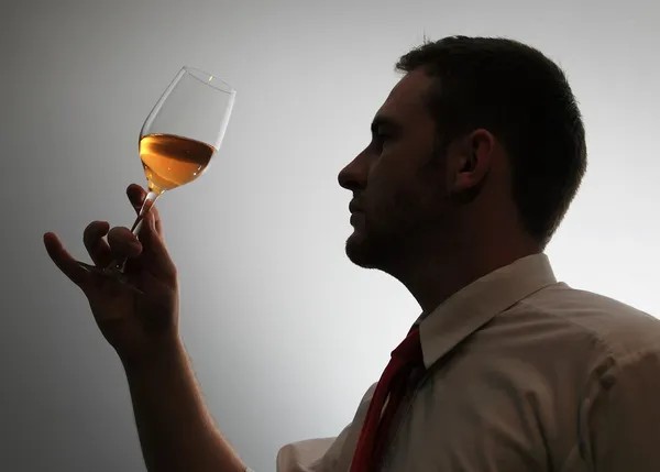 Wine expert testing wine silhouette image Royalty Free Stock Photos