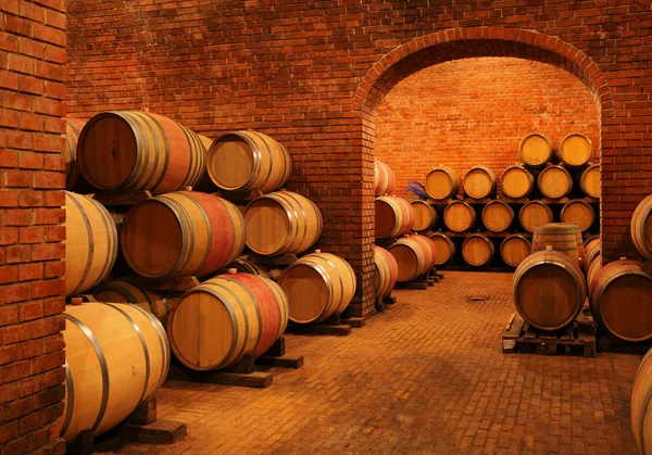 Barris de vinho — Fotografia de Stock