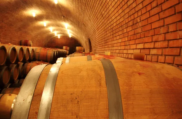 Wine barrels in wine cellar — Stock Photo, Image