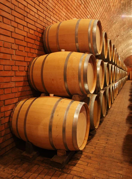 Wine barrels in wine cellar — Stock Photo, Image