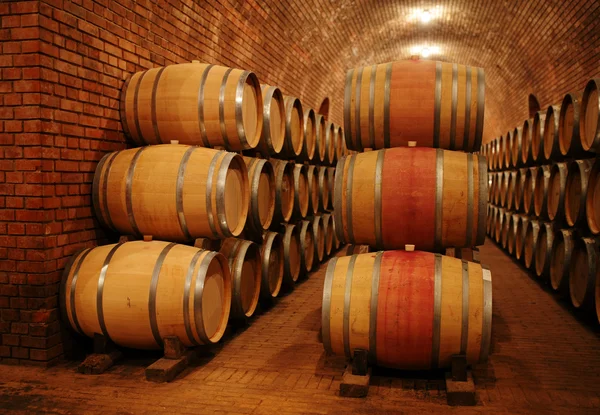 Beczki wina w piwnicy winiarskiej — Zdjęcie stockowe
