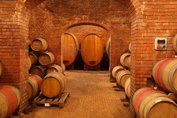 Barris de vinho na adega — Fotografia de Stock