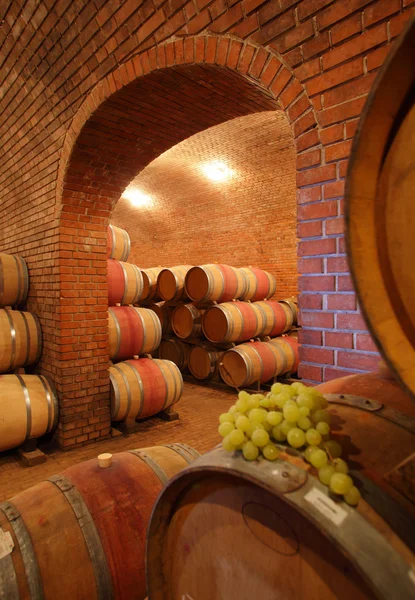 Barricas de vino en bodega — Foto de Stock