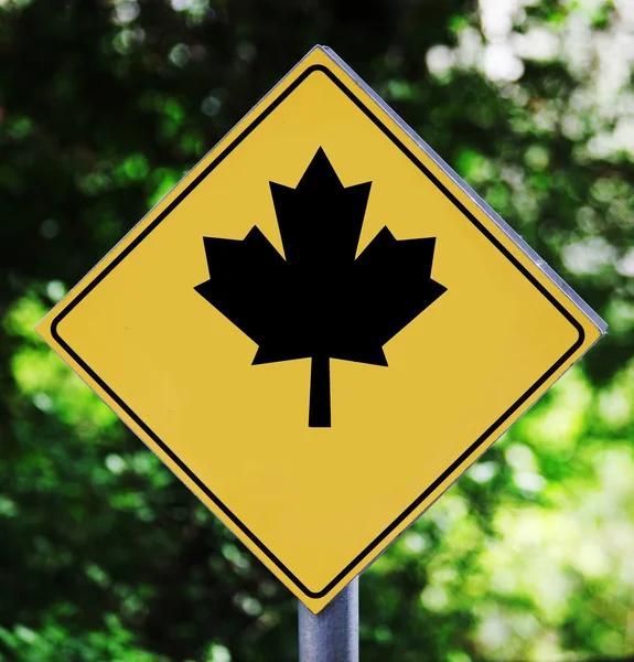 Yellow traffic label with maple leaf pictogram — Stock Photo, Image