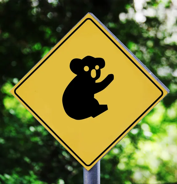 Koala pictogram — Stock Photo, Image