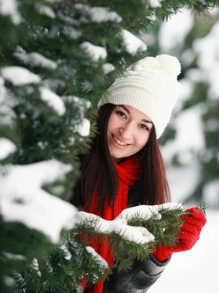 Joven hermosa mujer detrás de nieve cubierta de pino —  Fotos de Stock