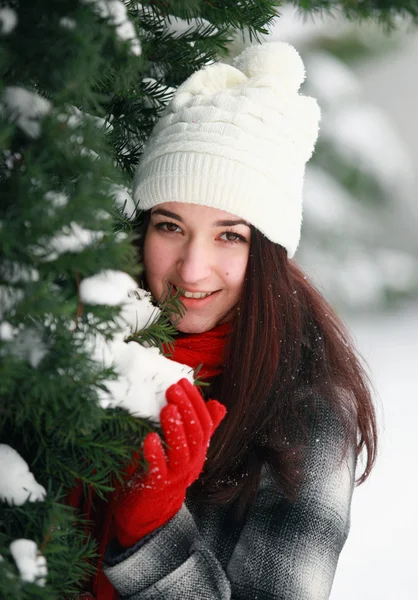 Woman behind pine — Stock Photo, Image