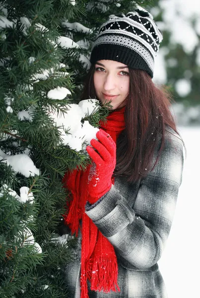 Jovem bela mulher atrás de pinho coberto de neve — Fotografia de Stock