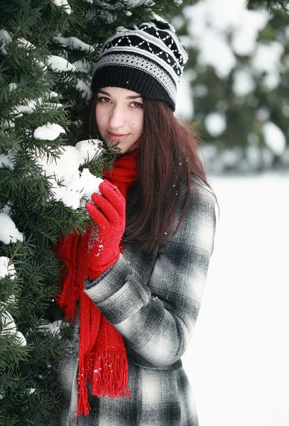 Giovane bella donna dietro pino coperto di neve — Foto Stock