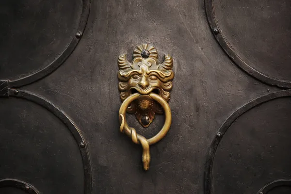 Door knocker with lion on iron door — Stock Photo, Image