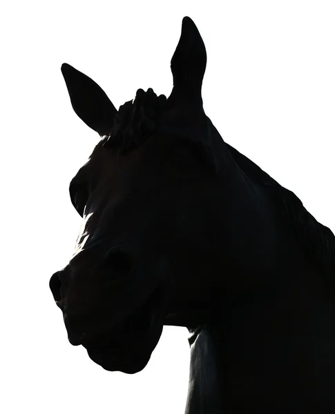 Silhueta de retrato de cavalo — Fotografia de Stock