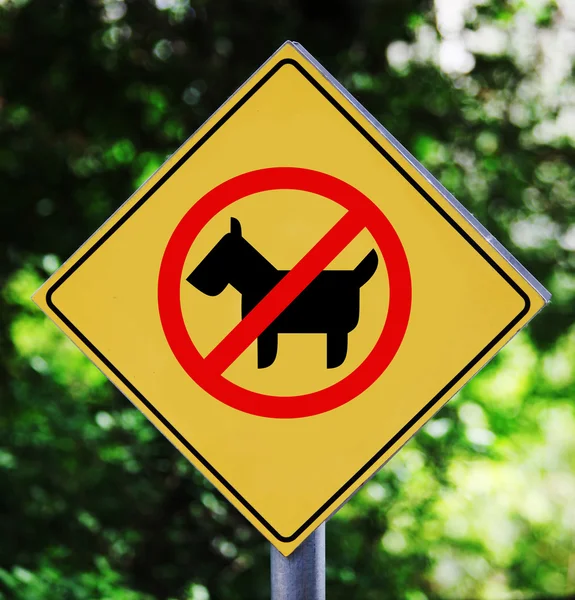 Geen hond-pictogram — Stockfoto