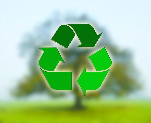 Recycling sign with deciduous tree — 图库照片