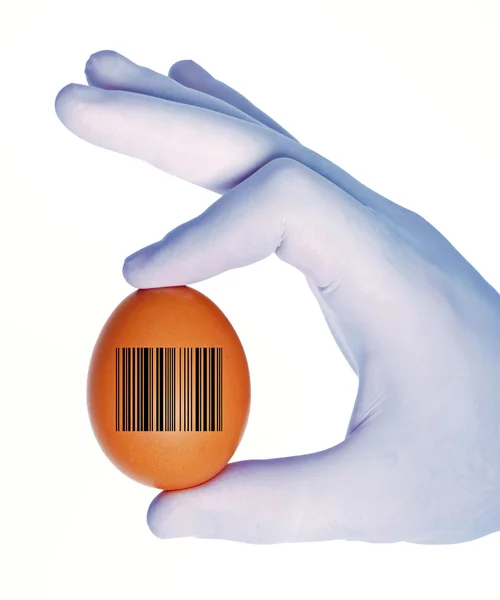 Hand holding egg with barcode symbol — Stock Photo, Image