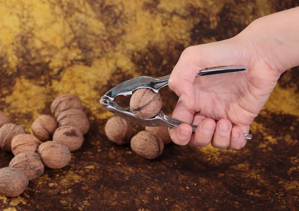 Walnuts — Stock Photo, Image