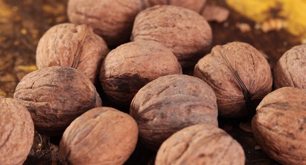 Walnuts — Stock Photo, Image