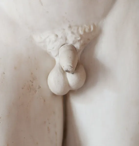 Griekse standbeeld in Italiaanse museum, penis detail — Stockfoto