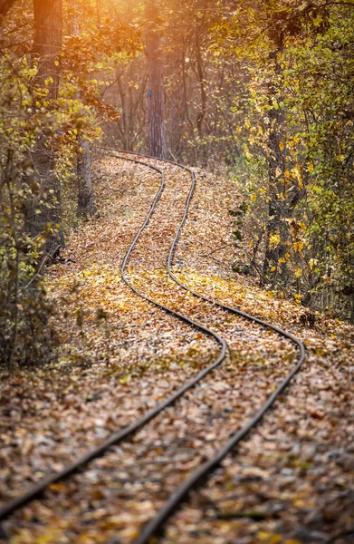 Trilha Trem Coberta Com Folhas Caídas Outono — Fotografia de Stock