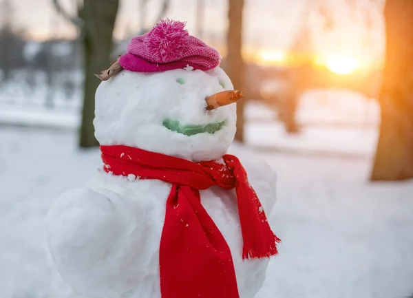 Funny Snowman Scarf Cup Sunshine — Stock fotografie