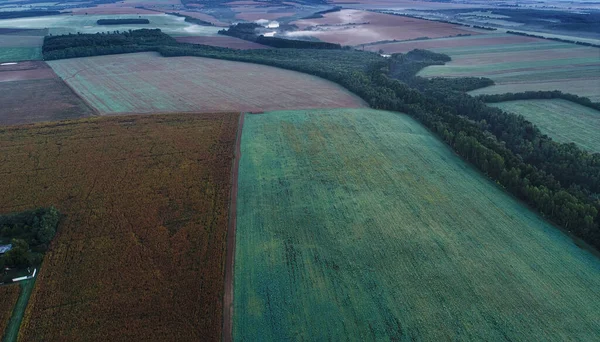 農業景観に関する空中ドローン撮影 — ストック写真