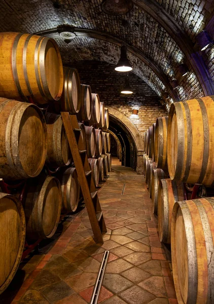 Şarap Mahzenlerinde Şarap Fıçıları Var — Stok fotoğraf