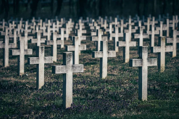 Muchas Lápidas Cementerio Atardecer —  Fotos de Stock