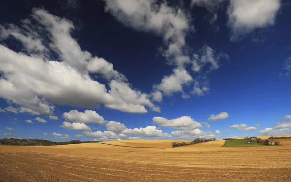 Beau Paysage Champs Blé Avec Ciel Nuageux — Photo