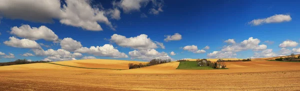 Piękny Krajobraz Pola Pszenicy Zachmurzonym Niebem — Zdjęcie stockowe