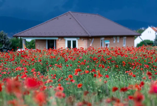 Semi-finished, half-finished house with red poppy field at overcast sky