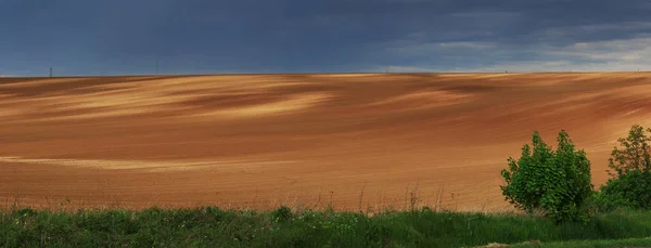 Cultivated Field Panorama View — Fotografia de Stock
