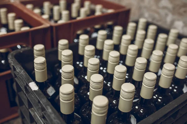 Mahzende Şarap Şişeleri Yığını — Stok fotoğraf