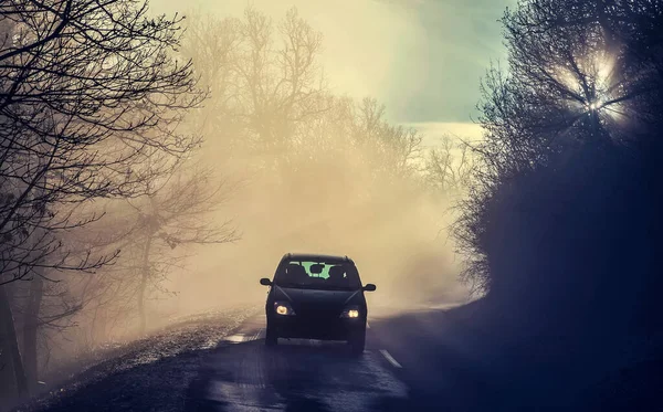 Car driving on forest road in sun beams