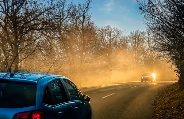 Auto Fährt Auf Waldstraße Sonnenlicht — Stockfoto