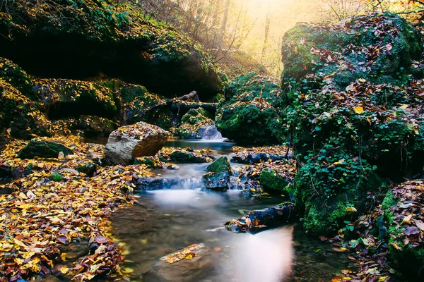 Beautiful Scenery Autumn Forest Creek — Stock Photo, Image