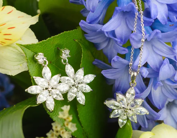 Šperky na květiny — Stock fotografie
