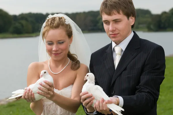 Young wedding couple with pigeons — Stock Photo, Image