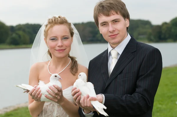 Young wedding couple with pigeons — Stock Photo, Image