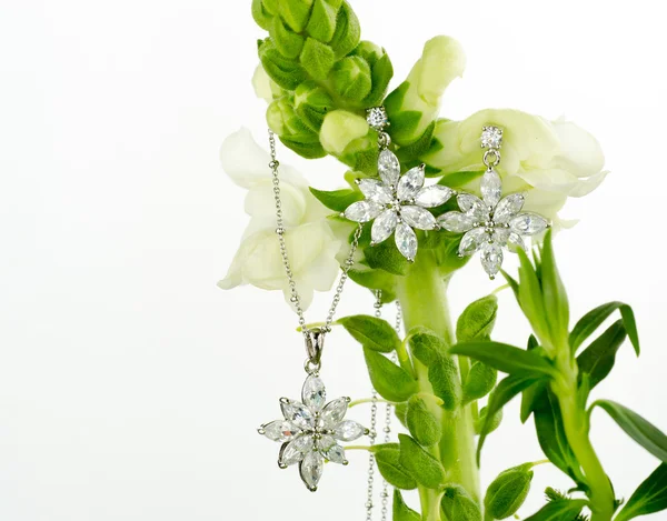 Šperky na květiny — Stock fotografie
