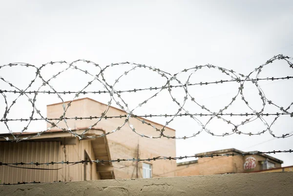 Fence with rolled barbed wires — Stock Photo, Image