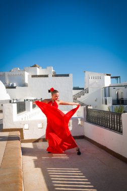 Flamenko Dansçısı