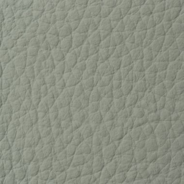 arkaplan için deri dokusu