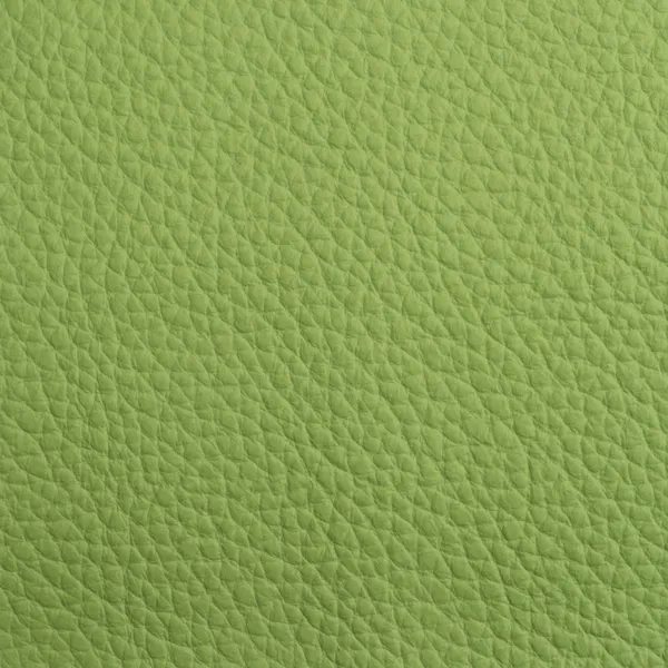 Textura de couro verde para fundo — Fotografia de Stock