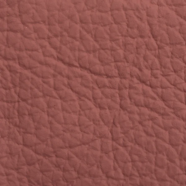 Leather texture for background — Stock Photo, Image