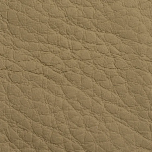 Leather texture for background — Stock Photo, Image