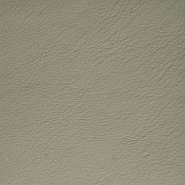 arkaplan için deri dokusu