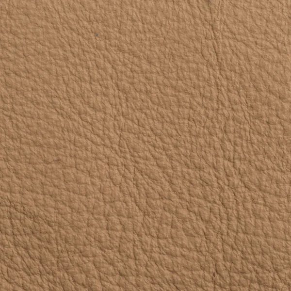 Leather texture for background — Stock Photo, Image